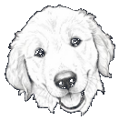 Golden Marketing mascot