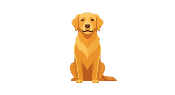 Golden retriever mascot, Maisie, the inspiration behind Golden Marketing